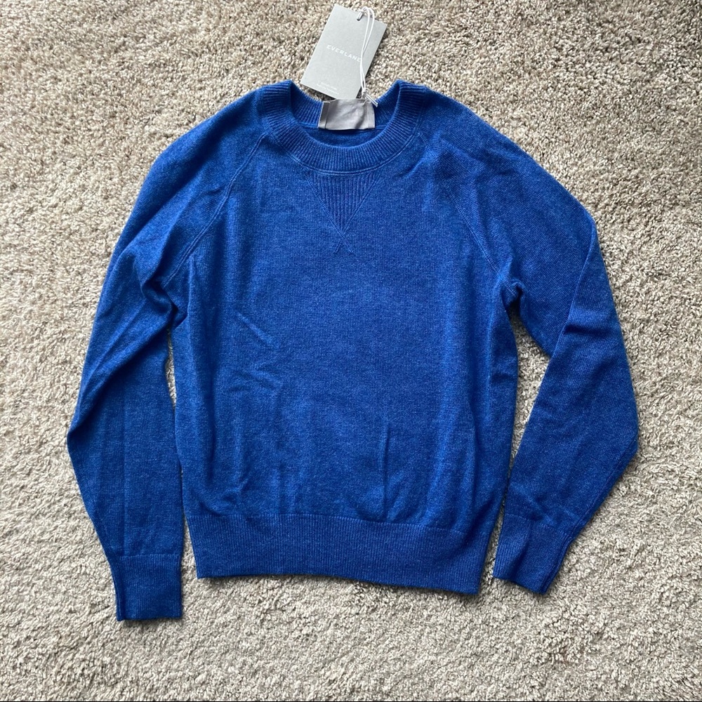 Everlane Cashmere Raglan Crew Neck Sweater